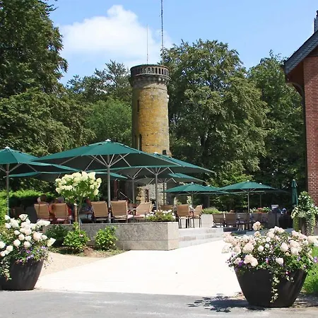 Elfbuchen